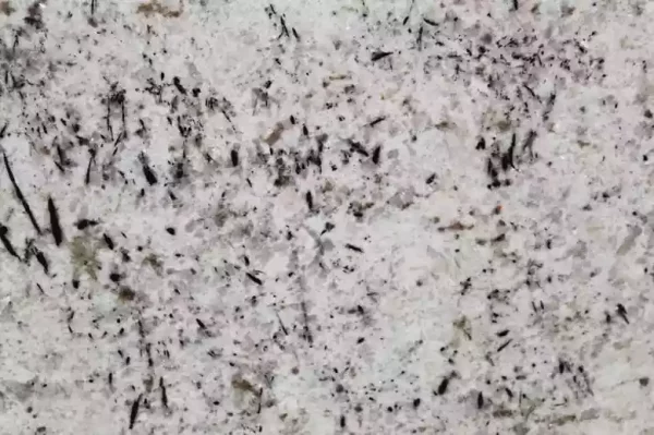 WHITE GALAXY
